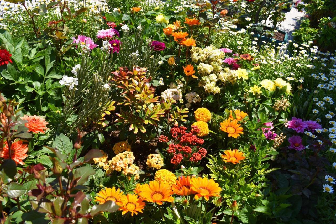 Hotel Garden Terrace Old Istanbul Luaran gambar